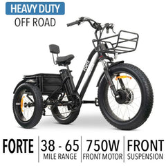 Go Bike Forte Electric Tricycle in Black Showing Specifications